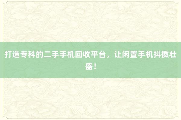 打造专科的二手手机回收平台，让闲置手机抖擞壮盛！