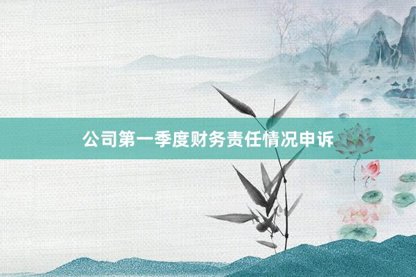 公司第一季度财务责任情况申诉